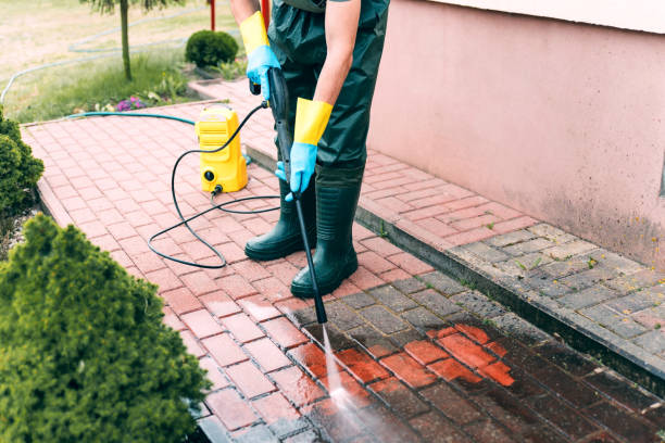 Best Dumpster Area Cleaning  in Lake Darby, OH